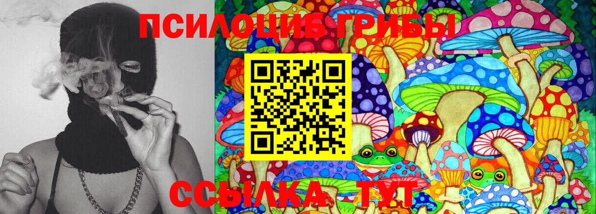 Галлюциногенные грибы Psilocybine cubensis  Вход с VPN  Псилоцибиновые грибы ЛСД  Миллерово 