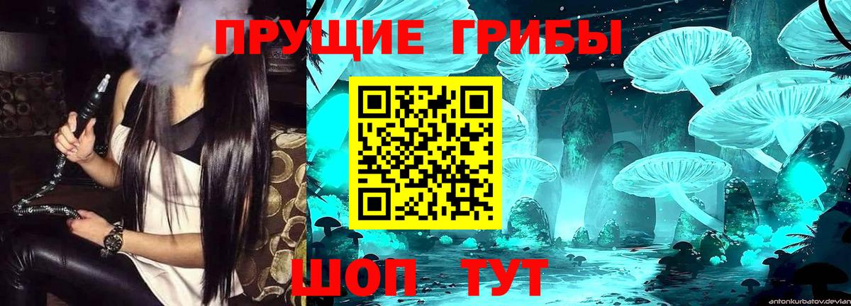 Галлюциногенные грибы Cubensis Миллерово