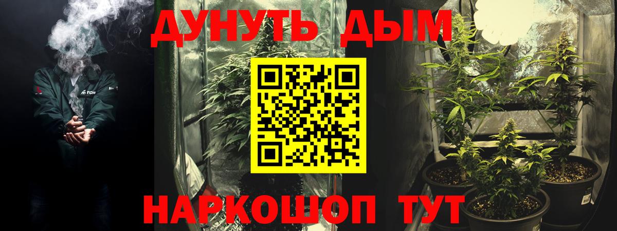 Бошки Шишки SATIVA & INDICA  Бошки марихуана семена  Миллерово  Вход с VPN  МАРИХУАНА Ganja 